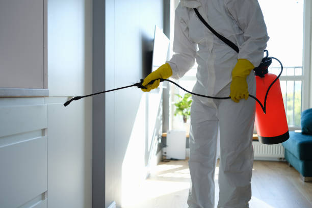 Best Attic Mold Removal  in Dunsmuir, CA