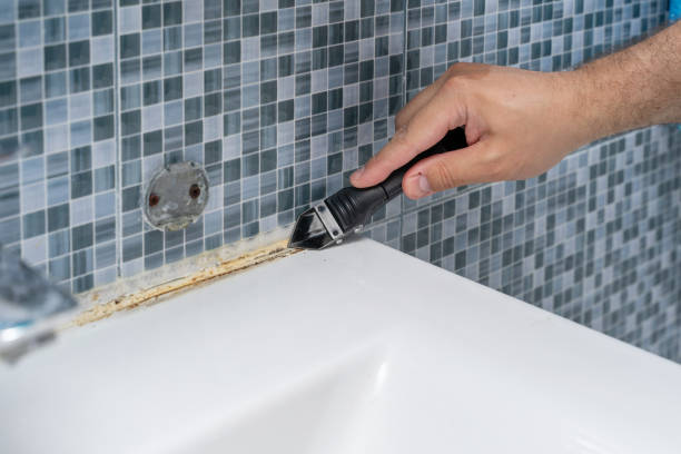 Best Office Mold Removal Services  in Dunsmuir, CA